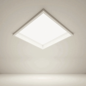 Ceiling Panel